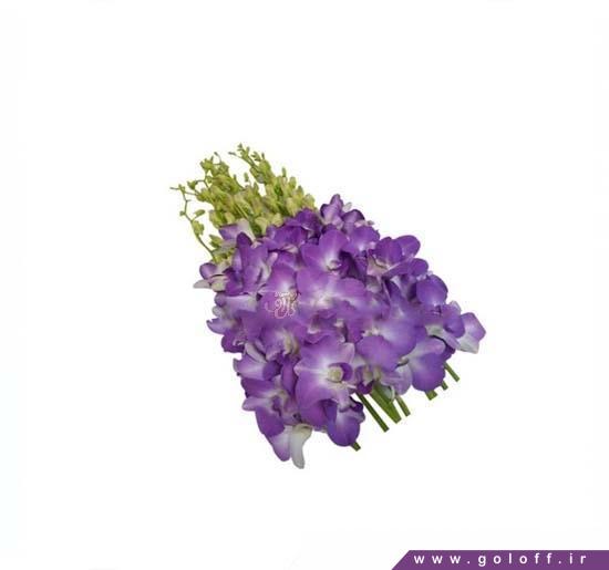 گل ارکیده دندروبیوم بلوبری وایت - Dendrobium Orchids | گل آف